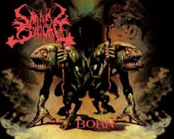 Perfidy Biblical : Born Perfidy Biblical : Born